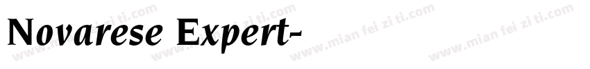 Novarese Expert字体转换